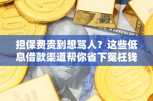 北京担保费贵到想骂人？这些低息借款渠道帮你省下冤枉钱