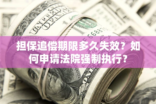 北京担保追偿期限多久失效？如何申请法院强制执行？