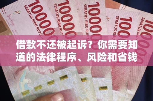 北京借款不还被起诉？你需要知道的法律程序、风险和省钱技巧